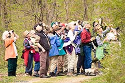 birdwatching
