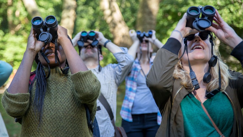 Binoculars are an essential tool for birders