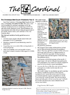 Christmas Bird Count details The benefits of citizen science Thank-you to Jackie Bussjaeger Online presentations schedule Warbler Weekend planning Kestrel Nest Box 2021 results Reflections on this year's October crane trip